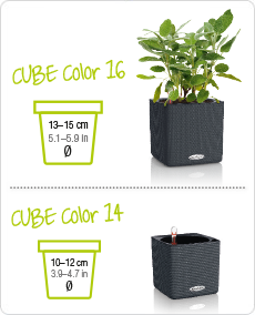 CUBE Color sizes