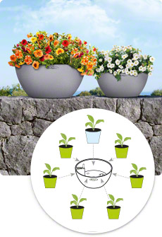 planting