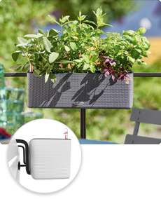 BALCONISSIMA Color brackets