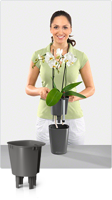 planter liner
