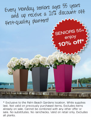 LECHUZA Factory Outlet Special