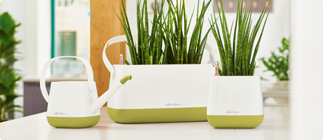 the stylish product series YULA