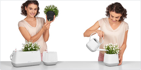 YULA plant bag use wick