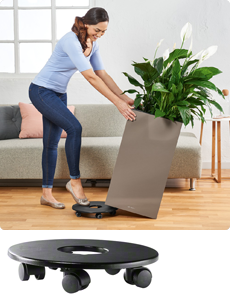 CANTO coaster