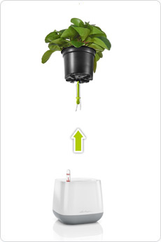 YULA plant bag - proven system