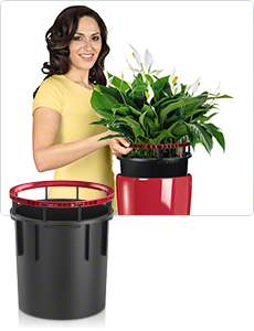 Planter liner